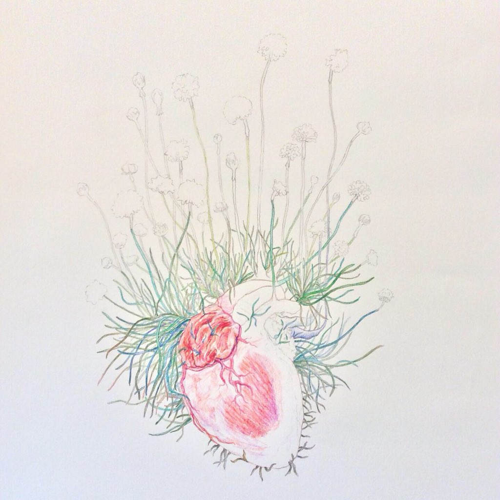 MarasRainyDays's tweet photo. #colouringprocess #ArcticHeart no. 13 with #seathrift

#art #artlife #amdrawing #illo #illustration #illustrationart #fineart #finearts #artoftheday #workinprogress #humanheart #wip #pencil #drawing #armeriamaritima #geldingahnappur https://t.co/K6NMspdGUz