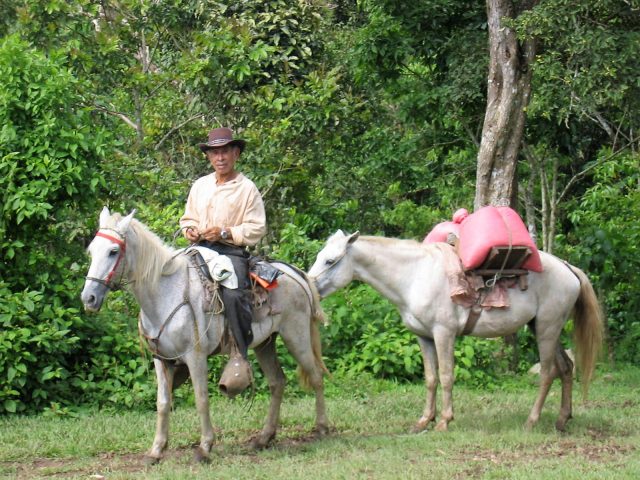 Try a fresh roast of Nicaragua Fair Trade Organic coffee, $12.95 /lb. - mailchi.mp/andersonscoffe…
