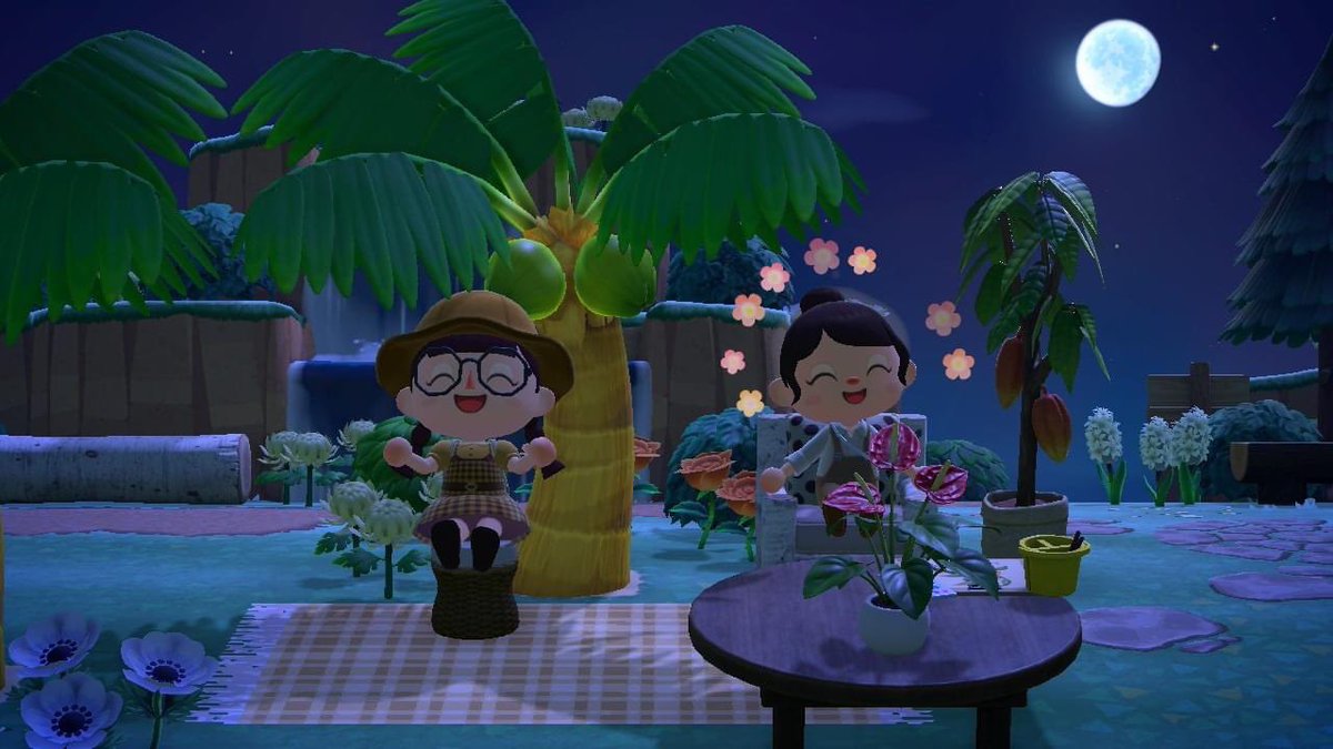 The other day <a href="/DaisySunrose/">Daisy ☀️🌿</a> came to visit for a picnic in the woodlands 🌲 🧺 and stargazing by the beach 💫 #acnh #animalcrossing