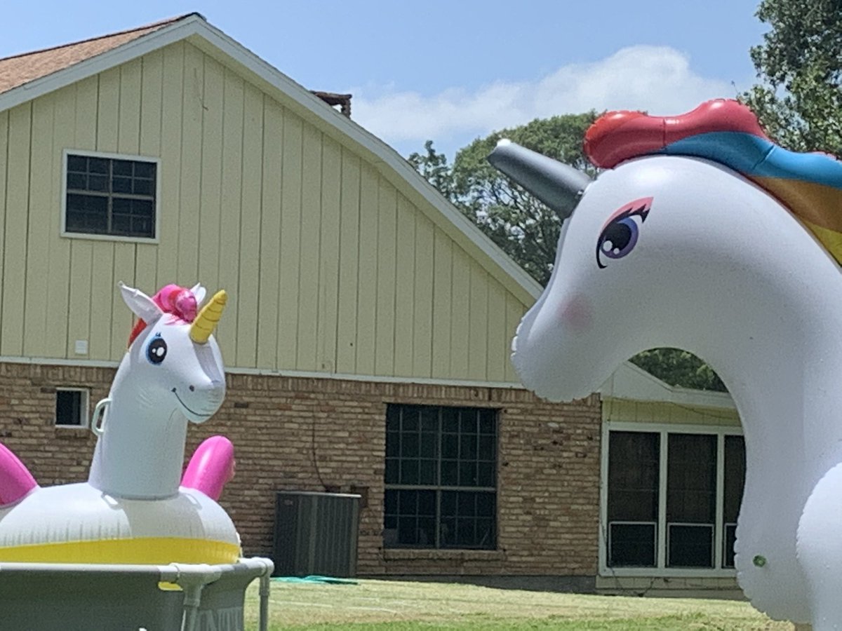 Joshua Cartmill tweet media