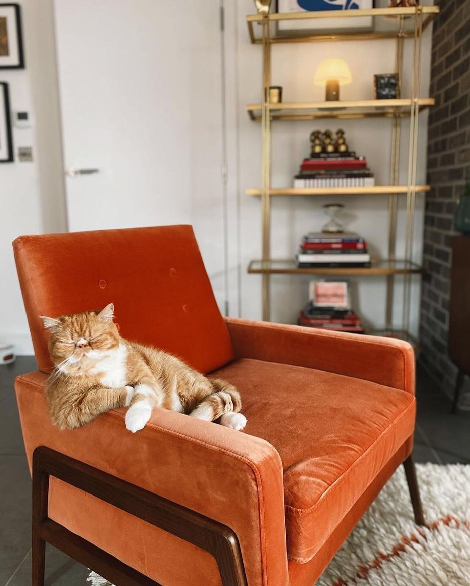 MadecomNL's tweet image. Op zoek naar een nieuwe lievelings spot? Cecil is gemaakt om in te chillen. bit.ly/2ZdUnnJ

📷: @arthur_and_rufus via @lauraevabanks
