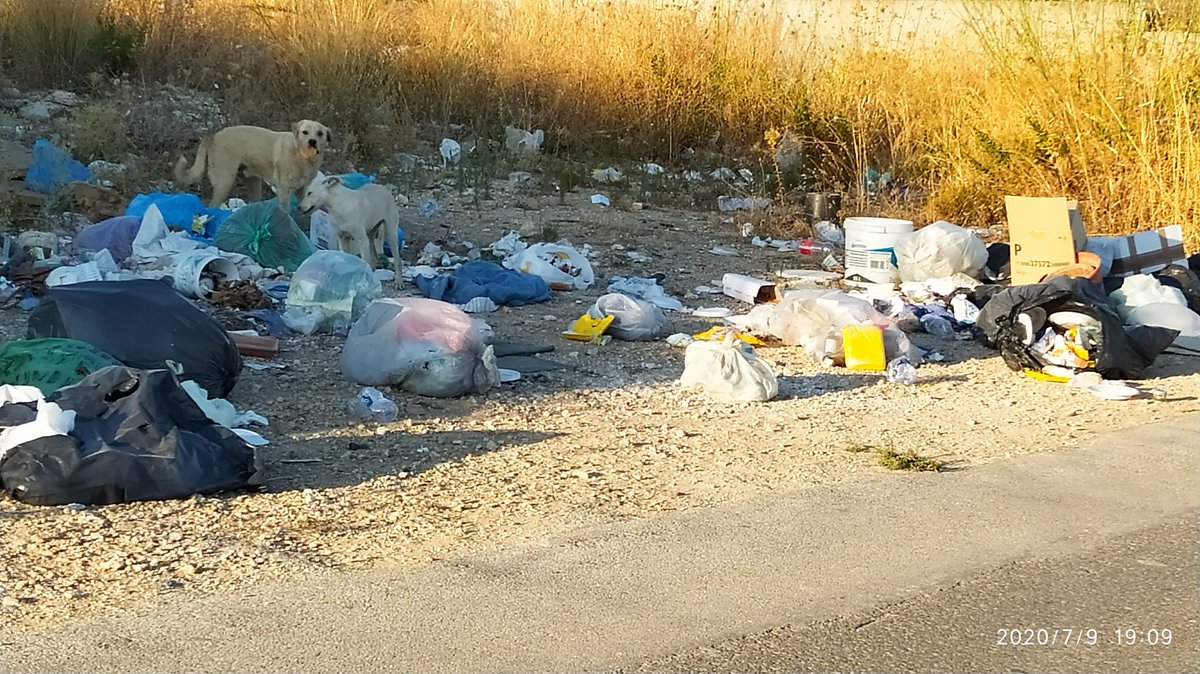 korry53's tweet photo. Ingresso di Lido di #Noto. #Discarica abusiva e cani #randagi. Accanto città greca di #Eloro e resti archeologici della #colonna_pizzuta greca. Non è un posto per #bambini https://t.co/PadbDkRODa