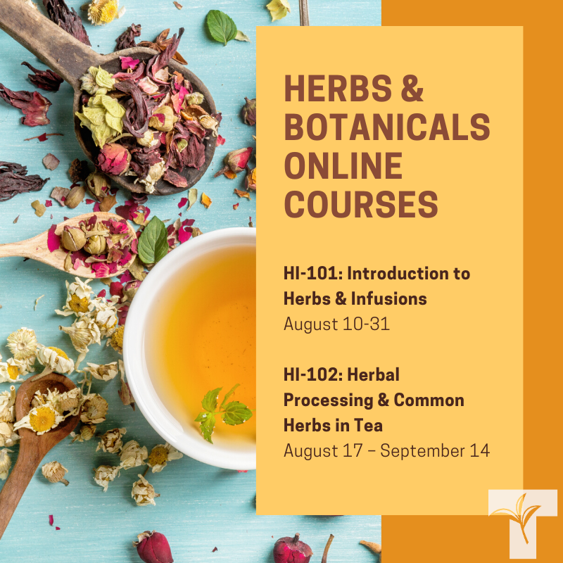 Registration is open for next month's Herbs &amp; Botanicals online courses. These courses are for anyone looking to learn more about herbal teas. 
#teaschool #brewcrew #teamakeseverythingbetter #onlineeducation #elearning #education #onlinetraining buff.ly/2GuglsA