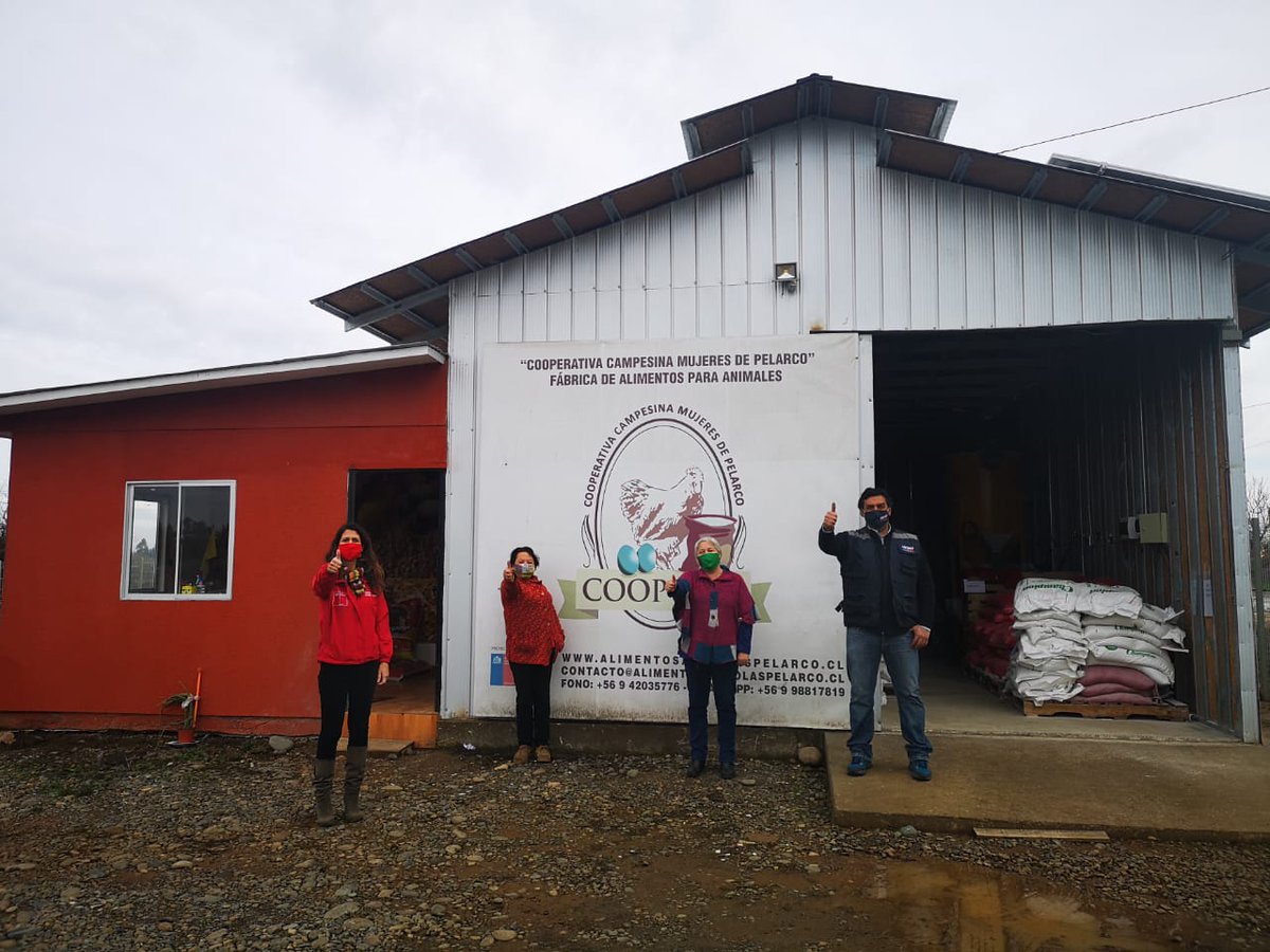 MinagriMaule's tweet photo. La Seremi de @MinagriMaule junto al jefe de área de @INDAP_Chile #Talca visitó esta mañana a las socias de la cooperativa campesina mujeres de Pelarco #Coopcam quienes se dedican a la fabricación de alimentos para animales y son un ejemplo de asociatividad. https://t.co/yLFrDadqhp