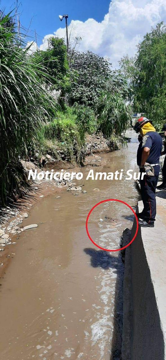 Noticiero Amatitlán tweet media