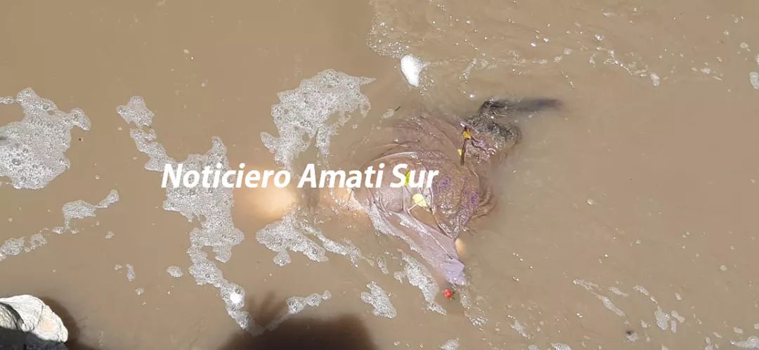 Noticiero Amatitlán tweet media