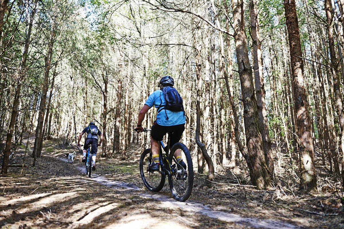 thesuffolkcoast's tweet photo. The #Suffolk Coast is not only a haven for keen cyclists, it's also ideal for familes wanting to get out on two wheels to explore! - Our #Cycling Guide has a range of routes and maps for you to download and enjoy this summer... > https://t.co/7hjaFsK8uX https://t.co/uPuNXEDIyL