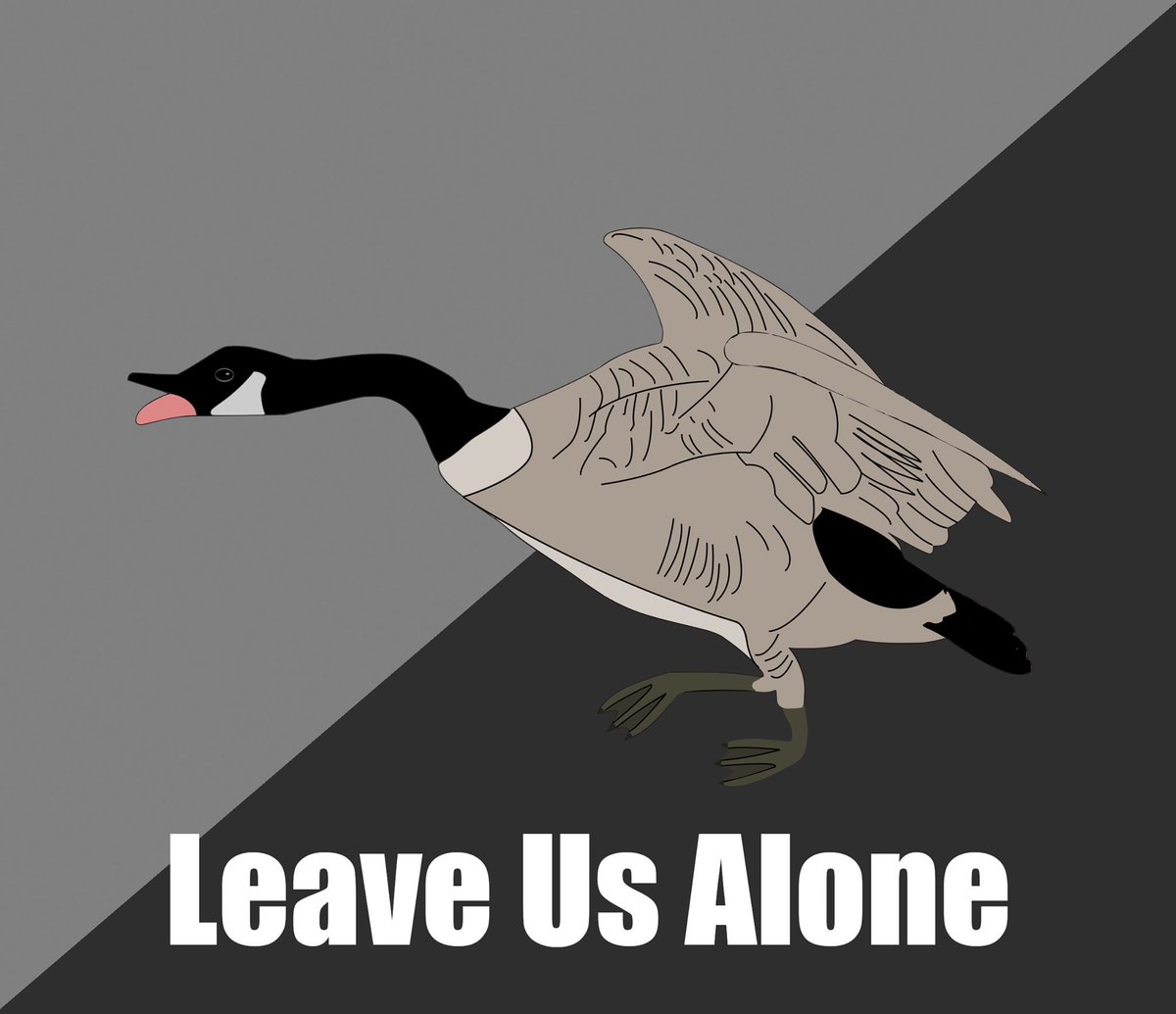TheSurvivalPodc's tweet photo. What is Unloose the Goose and the #goosegroup, follow me to find out. #agora #agorist #voluntary https://t.co/Rqhhkt0zeg