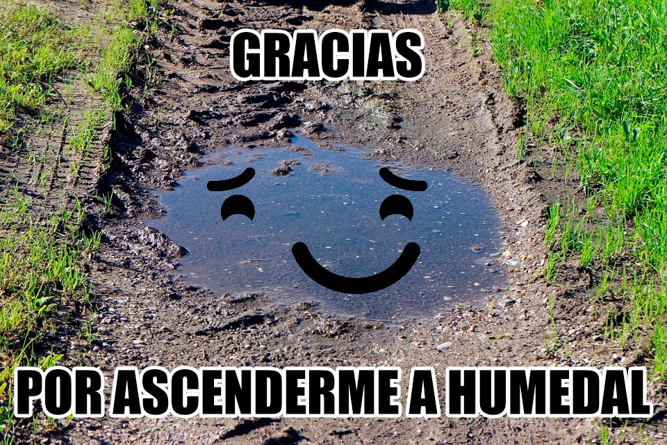 “Un charco no es un humedal. Un humedal no es un charco”. Capítulo 3 de Barrio Sésamo, <a href="/Teresaribera/">Teresa Ribera</a> <a href="/salvadorilla/">Salvador Illa Roca</a>. #LeadGate <a href="/PSOE/">PSOE</a> <a href="/populares/">life</a> <a href="/vox_es/">VOX 🇪🇸</a> <a href="/Moran_Fernandez/">Hugo A Morán Fdez.</a> <a href="/Milamarcos/">Mila Marcos</a> <a href="/mitecogob/">Transición Ecológica y Reto Demográfico</a> <a href="/sanidadgob/">Ministerio de Sanidad</a>