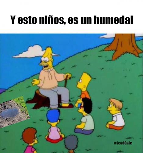 👩‍🏫“Un charco no es un humedal. Un humedal no es un charco”. Capítulo 3 de Barrio Sésamo. 
👉Dedicado a <a href="/TeresaRibera/">Teresa Ribera</a> <a href="/salvadorilla/">Salvador Illa Roca</a>. 
#LeadGate 
<a href="/PSOE/">PSOE</a> <a href="/Populares/">life</a> <a href="/vox_es/">VOX 🇪🇸</a> <a href="/Moran_Fernandez/">Hugo A Morán Fdez.</a> <a href="/milamarcos/">Mila Marcos</a> <a href="/mitecogob/">Transición Ecológica y Reto Demográfico</a> <a href="/sanidadgob/">Ministerio de Sanidad</a> <a href="/RFECaza/">RFEC</a>