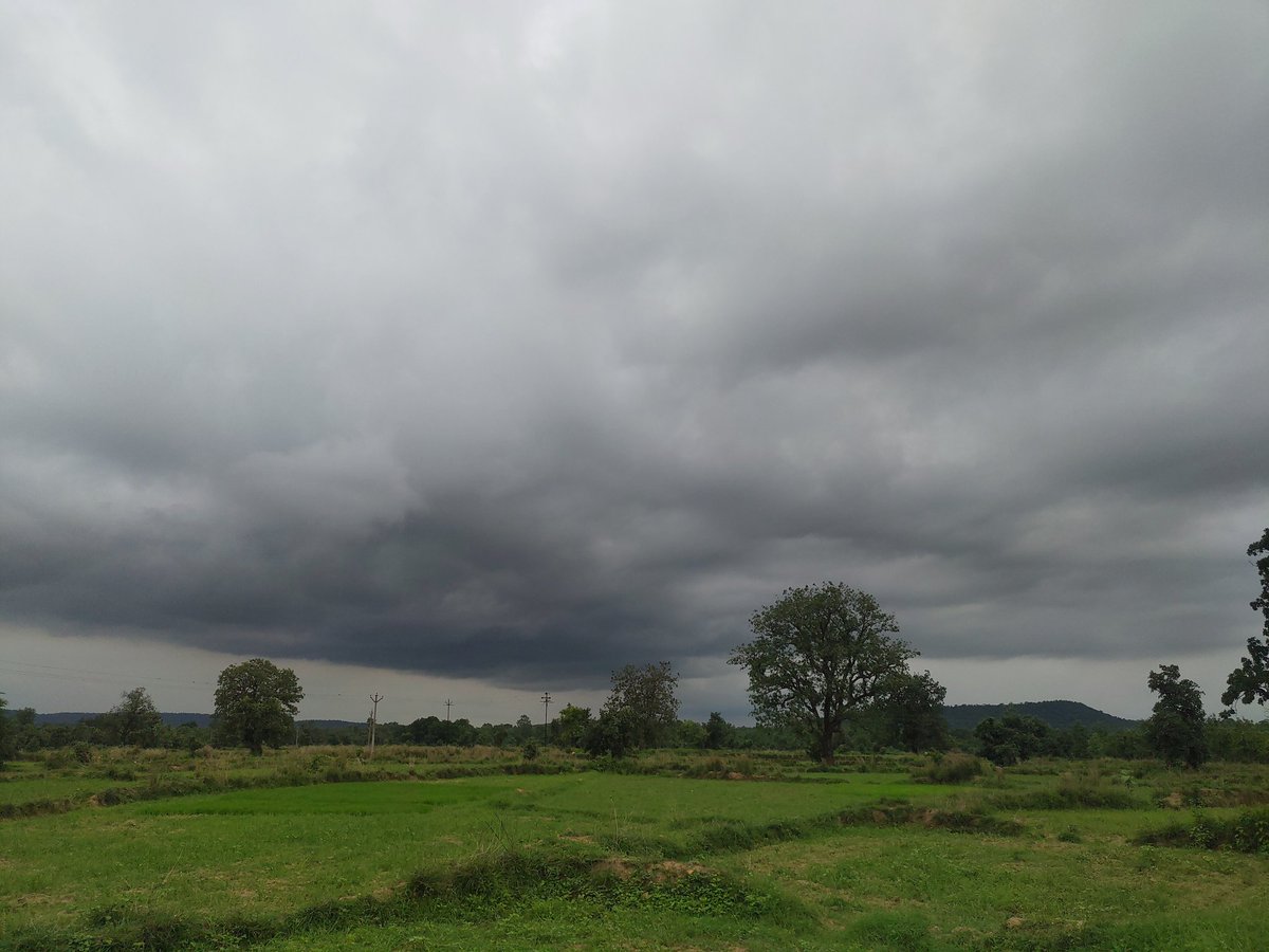 Bhumi tweet media