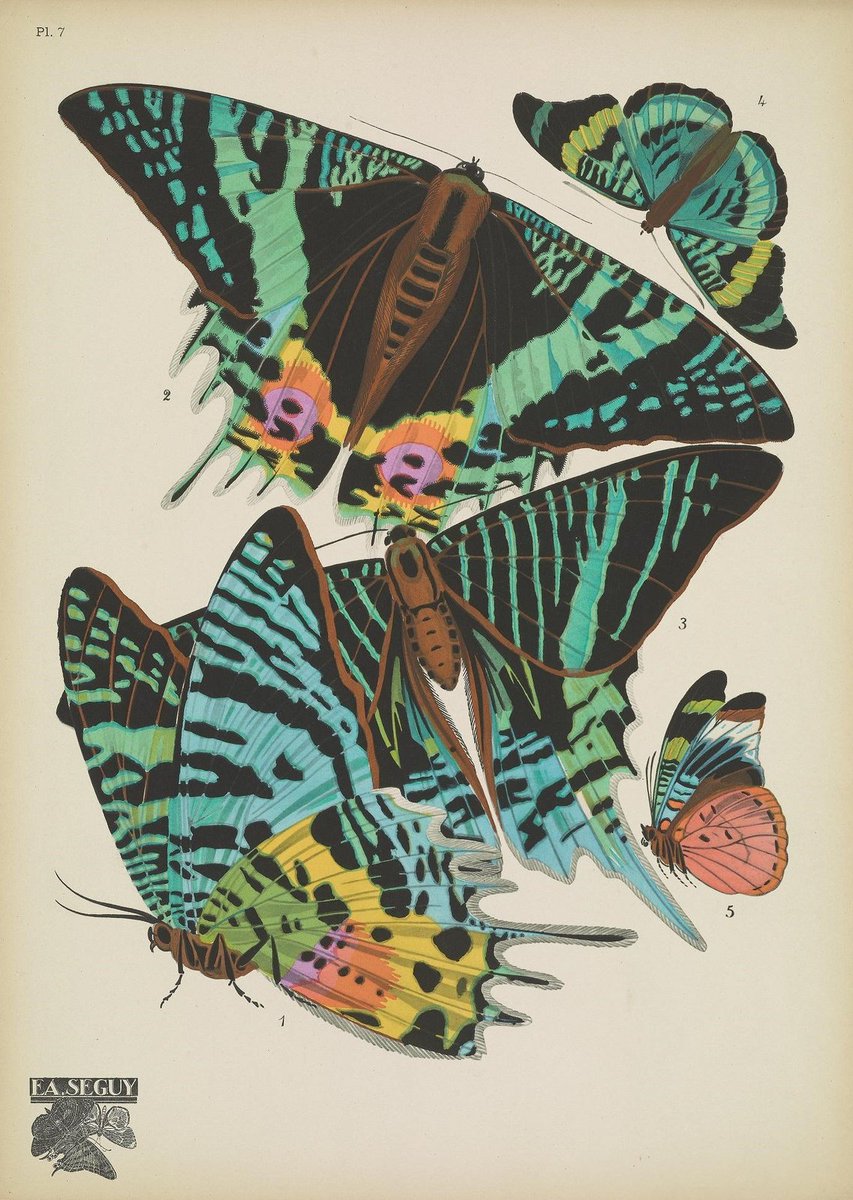 smithsonian tweet picture