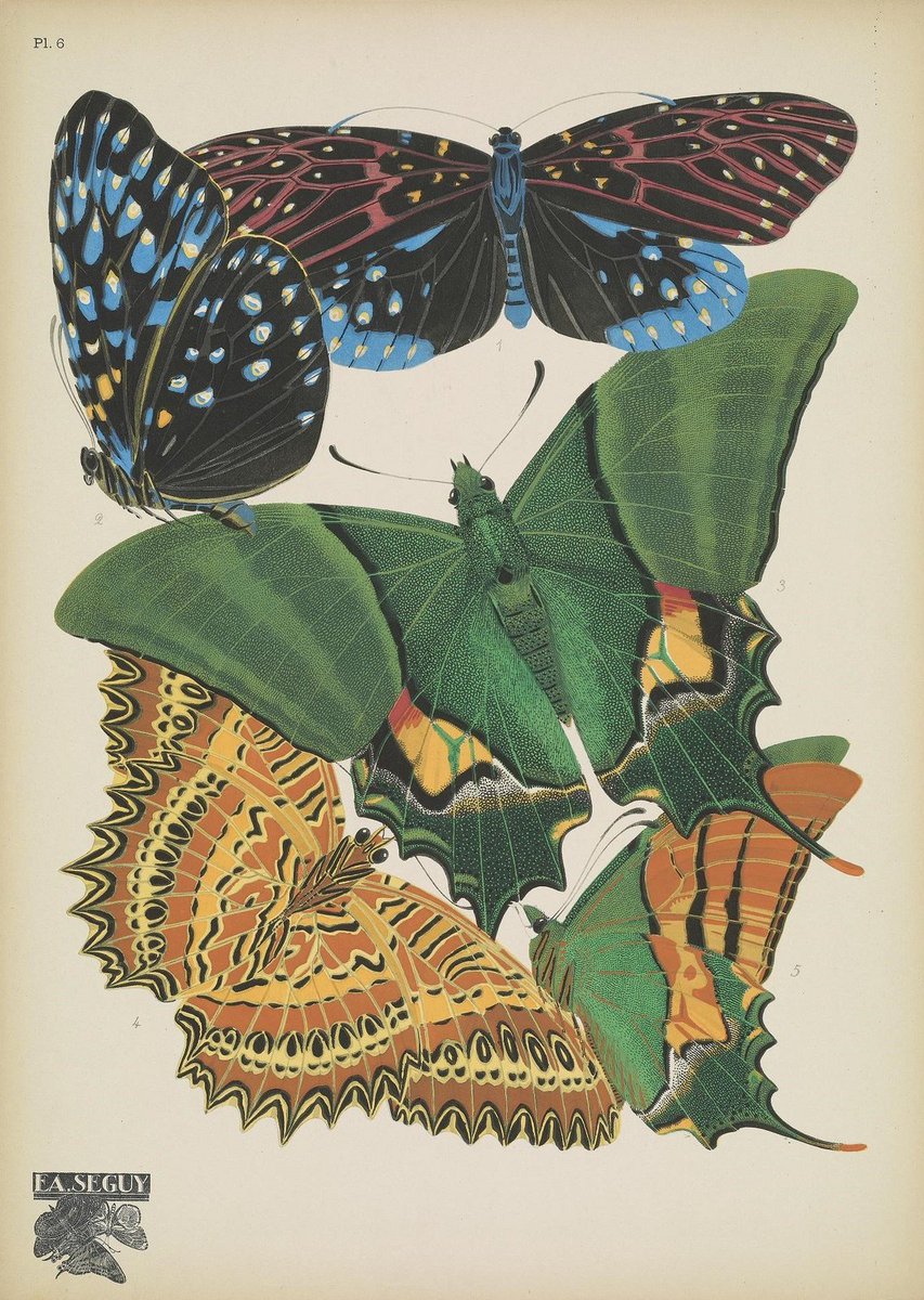 smithsonian tweet picture