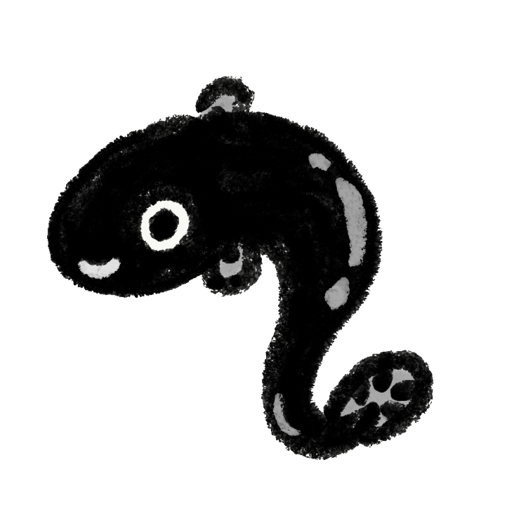 ぴよたそ 土用の丑の日に使えるうなぎのイラストや キーウィのイラストを追加しましたぴよ T Co Zpazxmkxkv ぴよたそ 土用の丑の日 フリー素材 T Co Ooj099jz Twitter