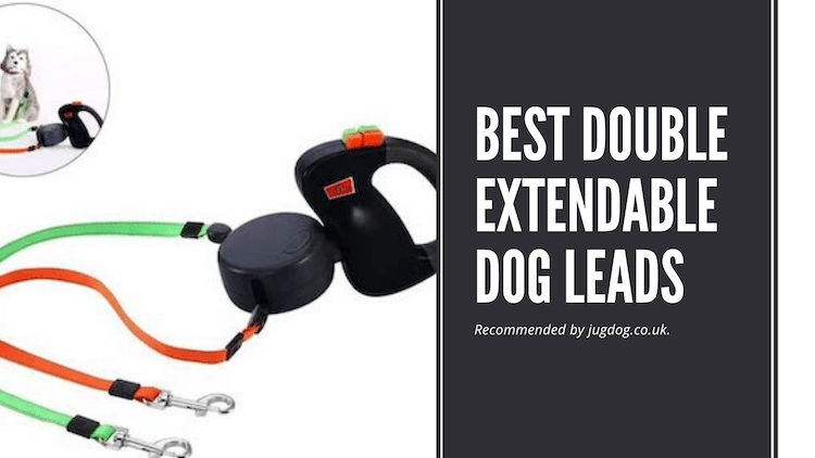 JugDogCo's tweet photo. Double extendable dog leads have the same principle as extendable dog leads except they can cater for two dogs at once.  #Walks https://t.co/CNtpOaC7Kk https://t.co/GQiselgZRQ