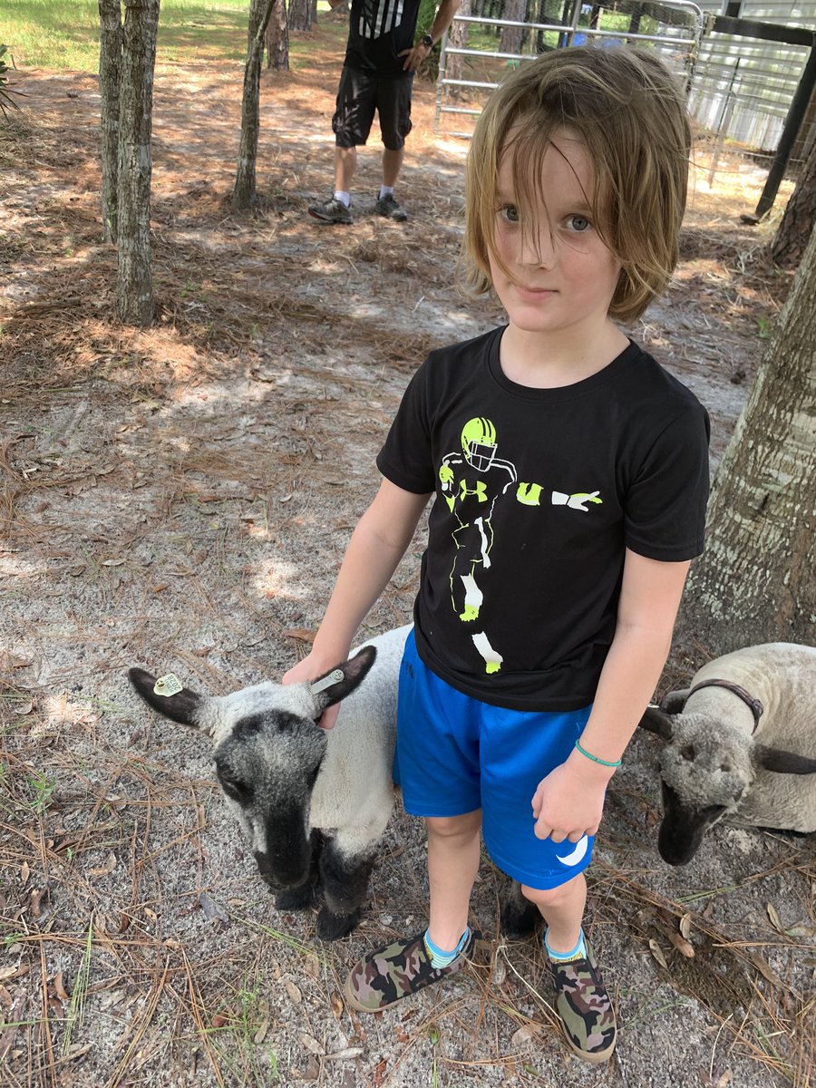 Jessica07414492's tweet photo. Meet the newest member of Saddlewood. It’s a boy and he needs a name. Any suggestions? Thank you Mrs. Benedict for fostering him until August. @Saddlewood_MCPS @KimFarrow9 https://t.co/YMsL20tpCy