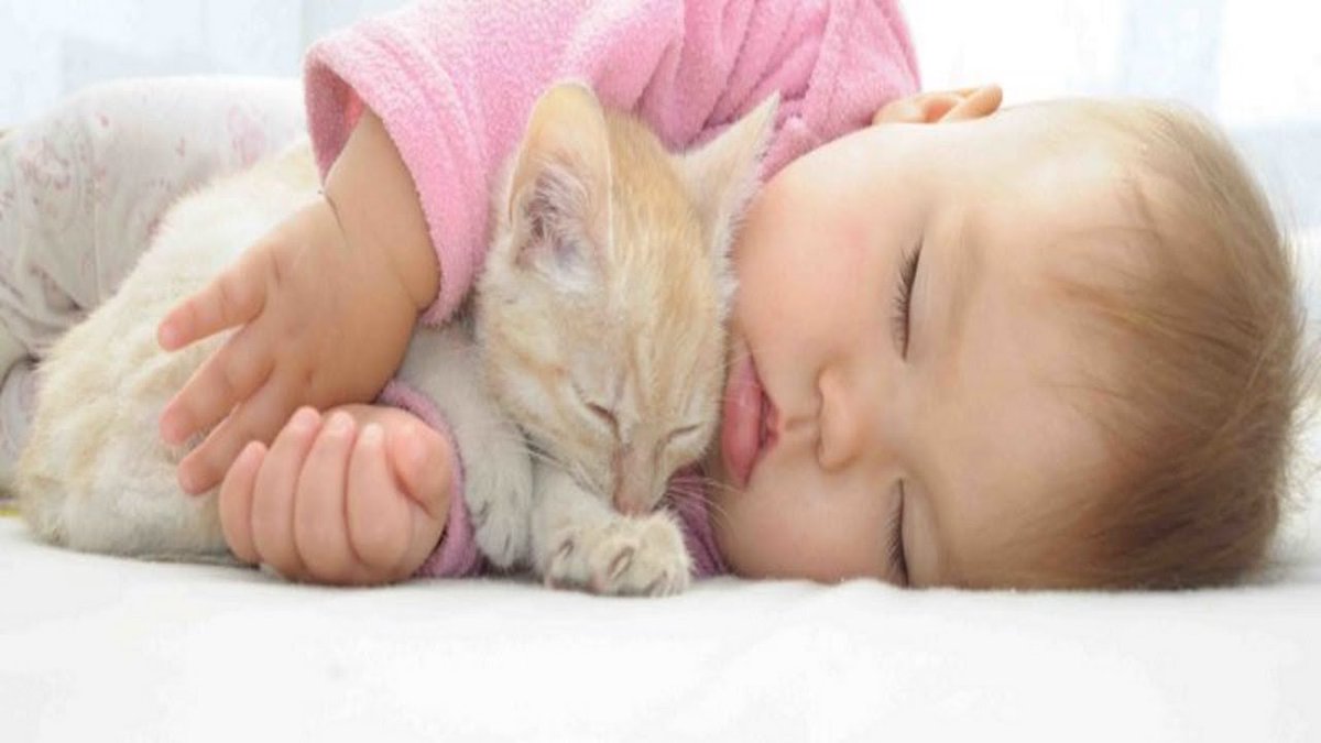 MeowMoeDotCom's tweet photo. #Cute #Cats And #Kittens ...
#Cats #Cat #Kittens #Kitten #Kitty #Pets #Pet #Meow #Moe #CuteCats #CuteCat #CuteKittens #CuteKitten #MeowMoe #BabiesBeingLickByCats #Baby #BestBabiesAndCats #BestCompilation #CatsAndBabiesAreBestFriends
https://t.co/DfJPsjzvzh https://t.co/5mMCPOS8A7