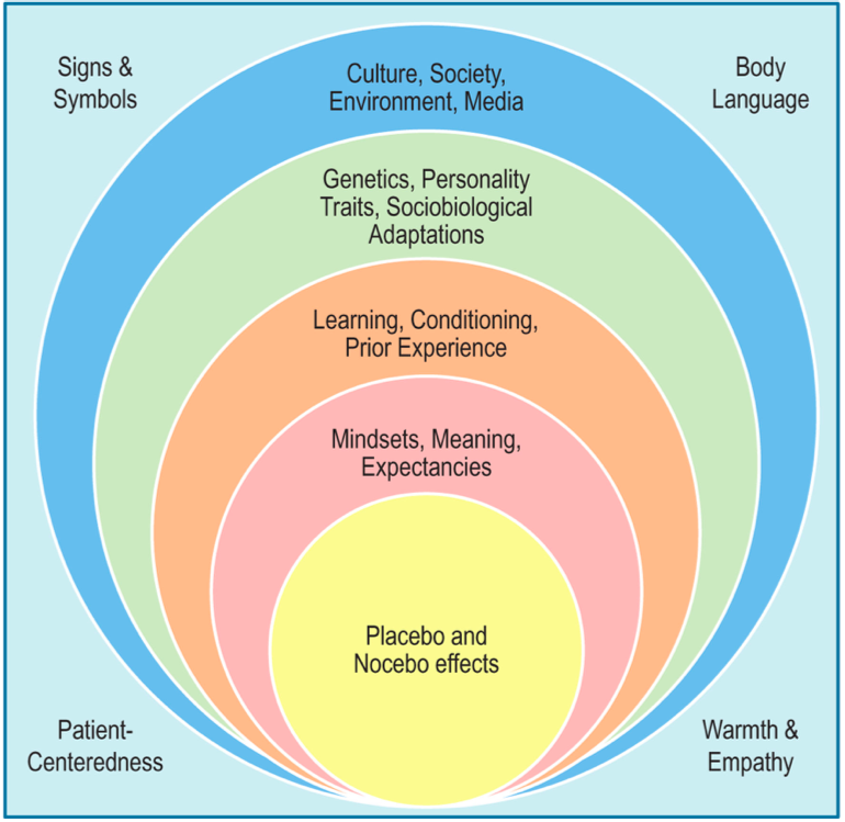 Giacomo Rossettini tweet media
