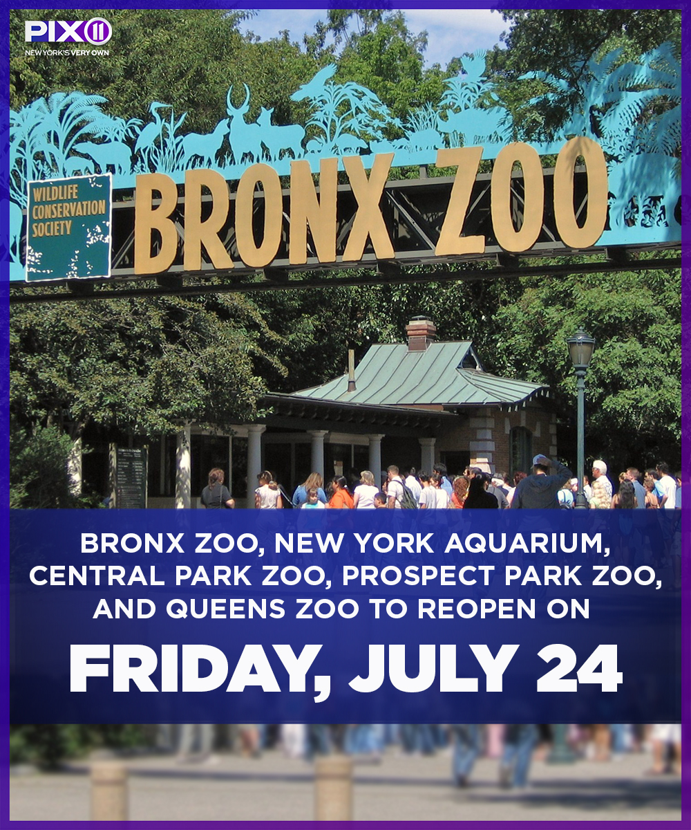 new york zoos and aquarium build your wild self new york zoos and aquarium build your wild self