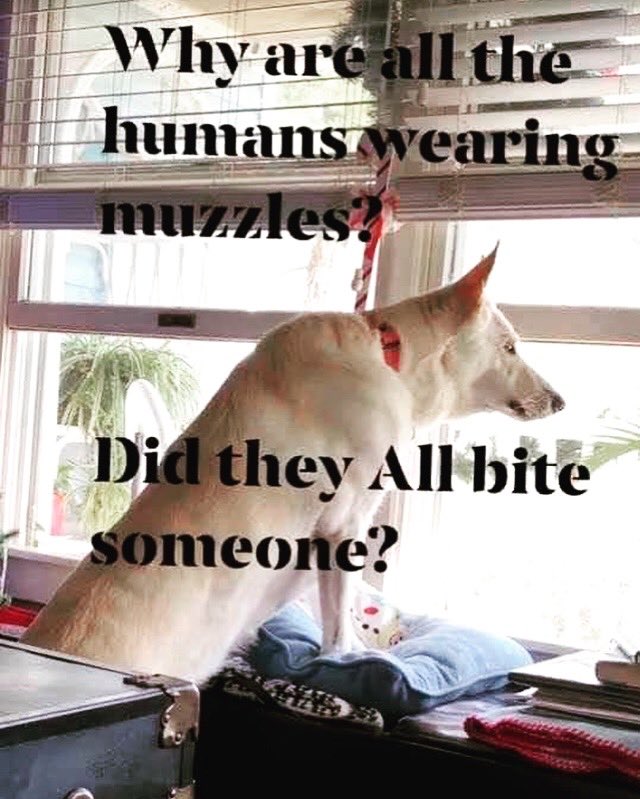 MontDevelopment's tweet image. Take comfort in knowing you are not alone. We are all just trying our best to make sense of the world around us. #laughteristhebestmedicine #montgomerybuilds #ThursdayThoughts