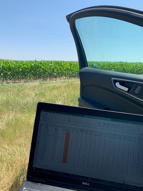 It's time to scout! #westernbeancutworm moth numbers are on the rise in North Platte, Nebraska:
July 7=12
July 8=38
July 9=64

Today's online data (bit.ly/2567z8R) brought to you from the mobile field office 🐛🐛🐛