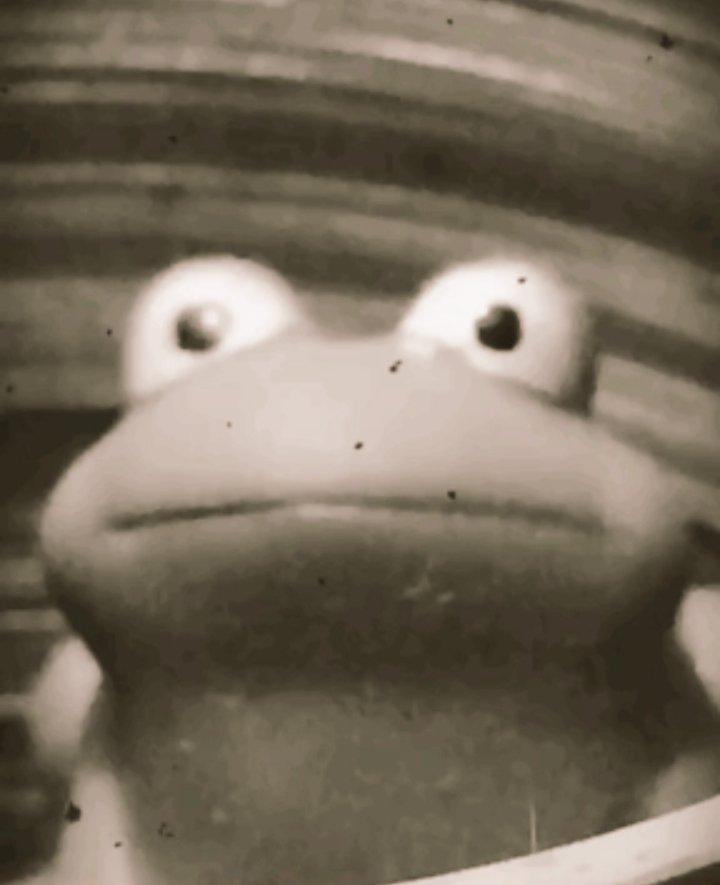 demandingclock's tweet photo. Please help the heteros are scaring me 
#TiktokBan https://t.co/rWkG6avaqN
