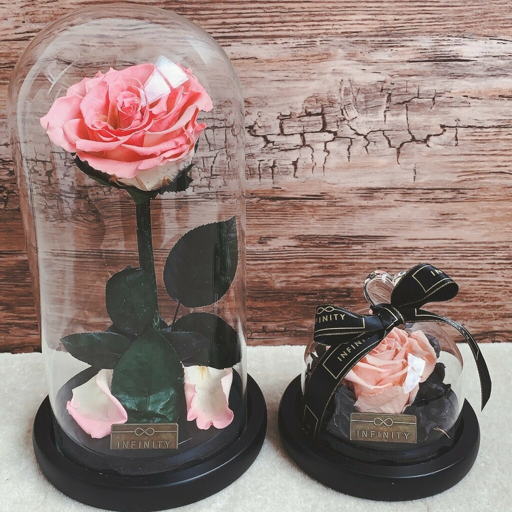InfinityFlowerB's tweet photo. Die rosa Rose steht für Schönheit und Jugend. Zudem ist sie ein Symbol für die aufkeimende Liebe #firstlove https://t.co/w9trymdMtL