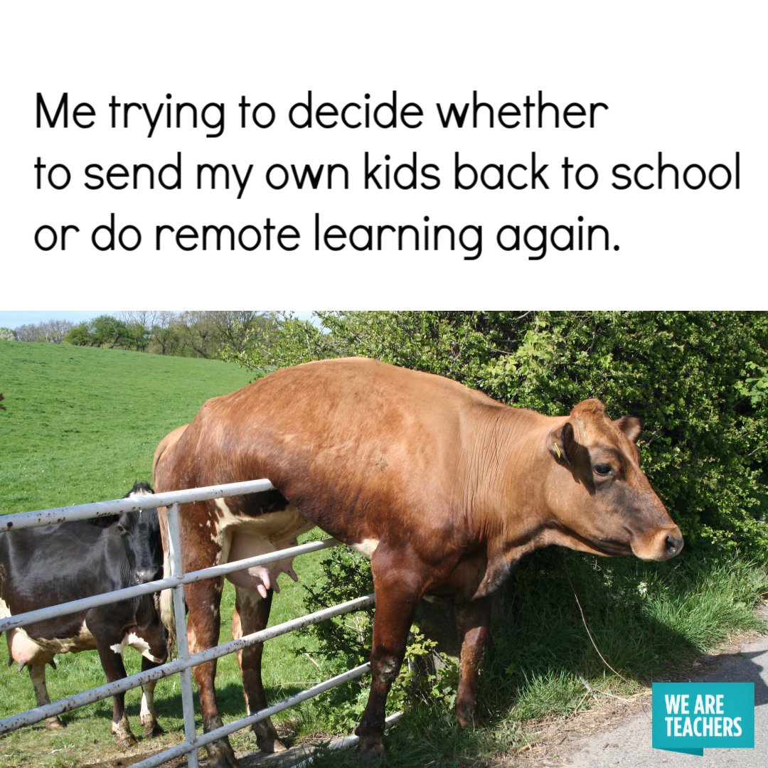 WeAreTeachers's tweet photo. This is all of us. https://t.co/2fNA7srlBK
