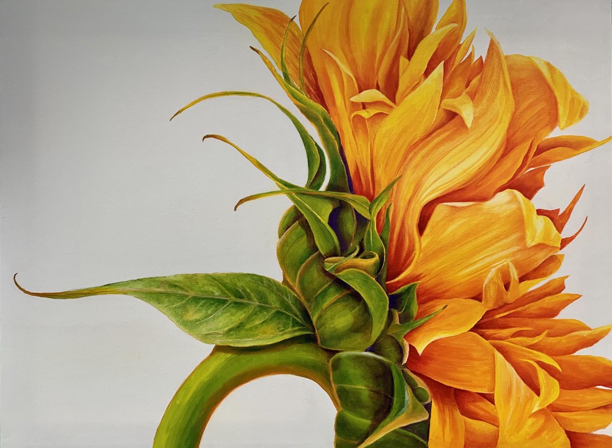 Amwomenartists's tweet photo. Leaning into the Sun by Sally Painter in Making Their Mark: American Women Artists at the Booth Museum. #womenartists #AWABooth #BoothMuseum #artexhibition #oilpainting #oil https://t.co/xDZf9C34d2