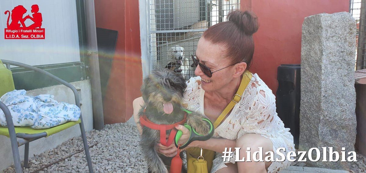 LidaSezOlbia's tweet photo. Olbia, 09.07.2020
Il nostro #Pippo #GambaLunga รจ andato a casa, una bellissima #adozione!!!
Grazie meravigliosa Letizia, Pippo รจ un tesoro e ringrazia tutti gli amici che lo hanno sostenuto in questo anno โค๏ธ
#adopt #storiealietofine
la sua storia
https://t.co/9O43GKOdHs https://t.co/lcP1wSSatE