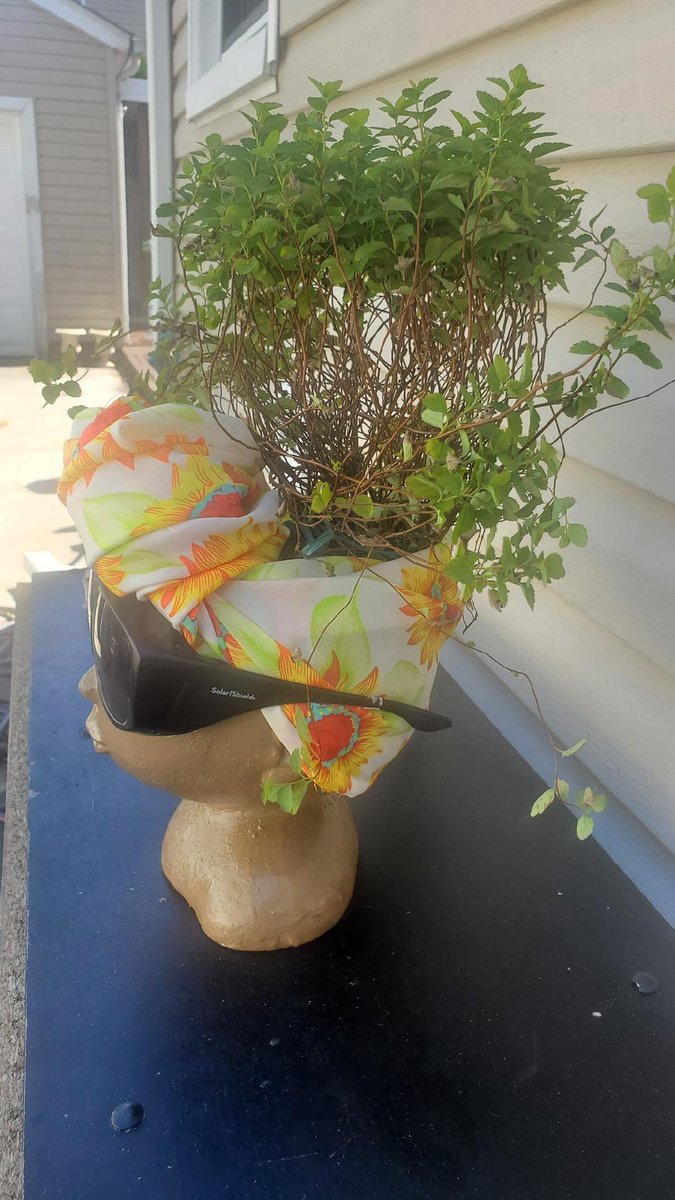 le_debut's tweet photo. LMAOOOOO. Y’all PLEASE look at these planters my mom just got and “decorated” 😂😂😂😭😭 https://t.co/ur3J3eS5t9