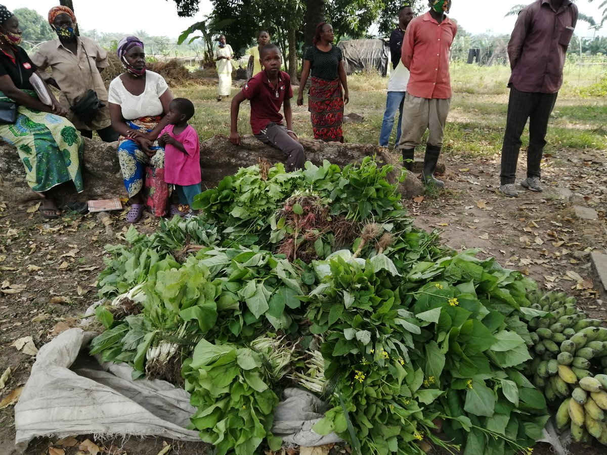 FAOCongo's tweet photo. #ZeroHunger : le Ministère en charge de l'agriculture du Congo au chevet des Maraichers des périphéries de Brazzaville en vue de renforcer leur #resiliencetogether  face aux impacts de #COVID__19 https://t.co/m1yAgfckyp