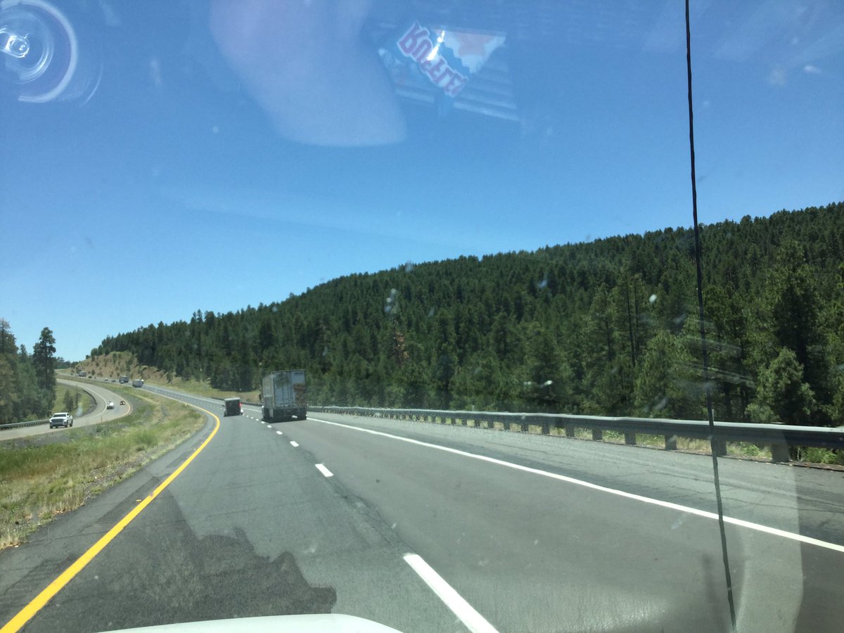 But not much further on, real trees around Flagstaff... and 6900 ft elevation. Guessing it’s downhill from here to Scottsdale.