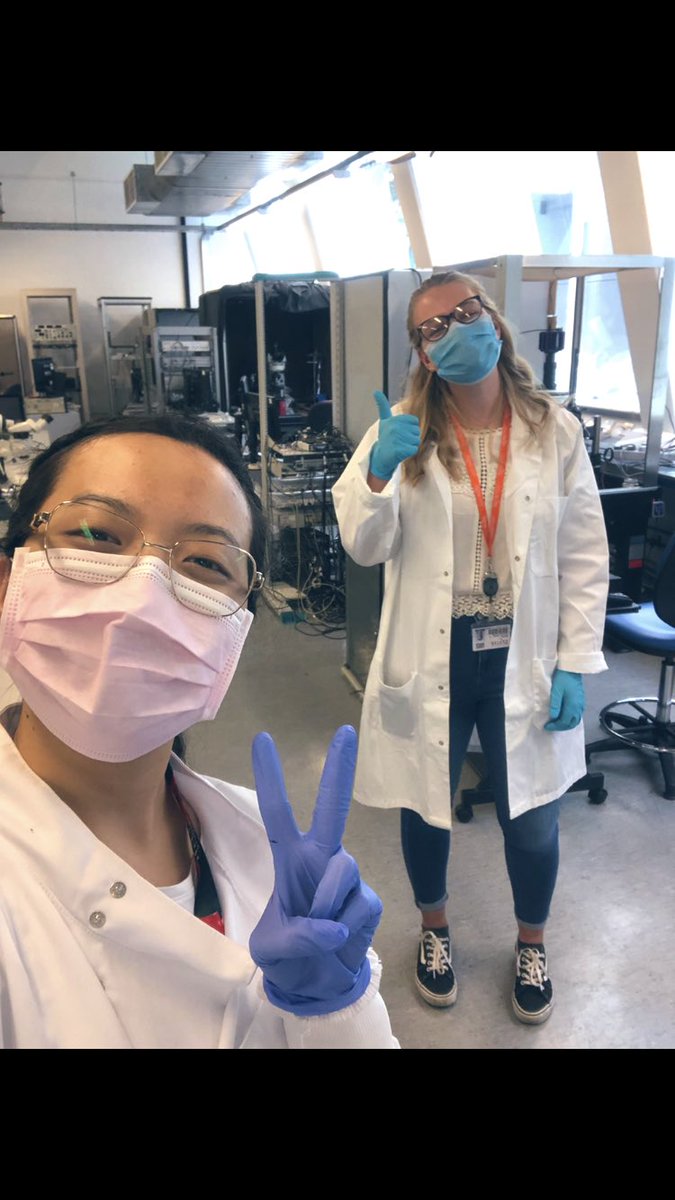 brinda_341's tweet photo. Hello twitterers, I am dedicating my first tweet to our first day back in the labs from the lockdown!! #SocialDistancingAtWork but very happy to be doing experiments again with @meg_elley. https://t.co/CD8k0hRhU2
