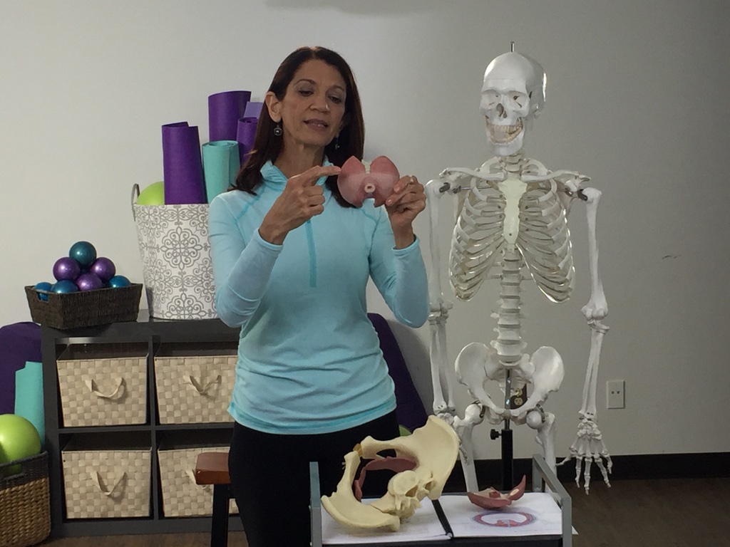 CarolyneAnthony's tweet photo. Online Pelvic Floor Health Course with Carolyne Anthony - https://t.co/pm32EujdNs https://t.co/AuQv1P0sVc