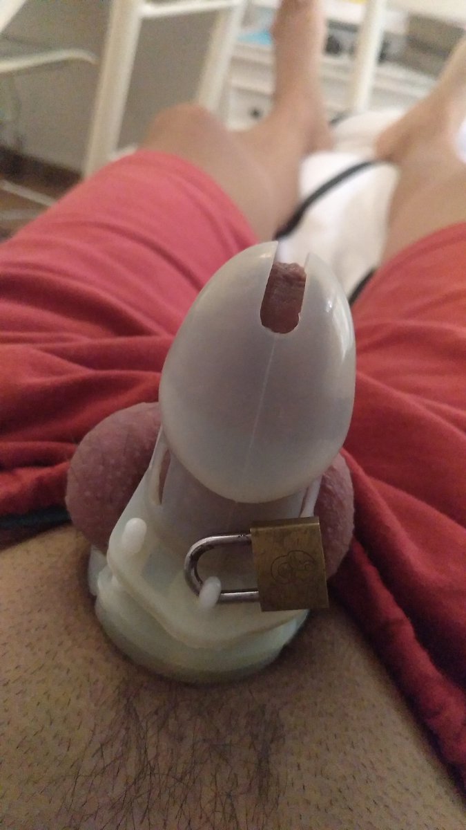 amoelcuero's tweet photo. #Chastity ๐ #slaveg https://t.co/xQwru48kXS