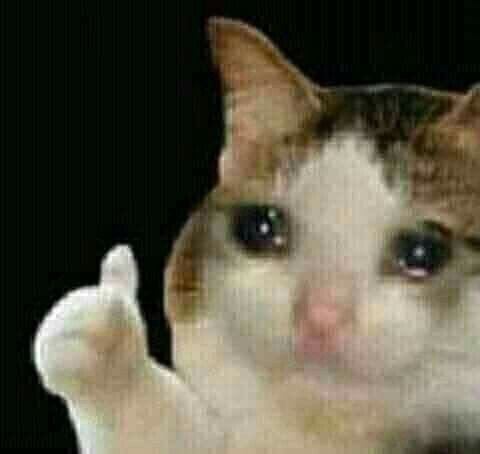 el ministro diciendo que hay que protegernos / yo escuchando