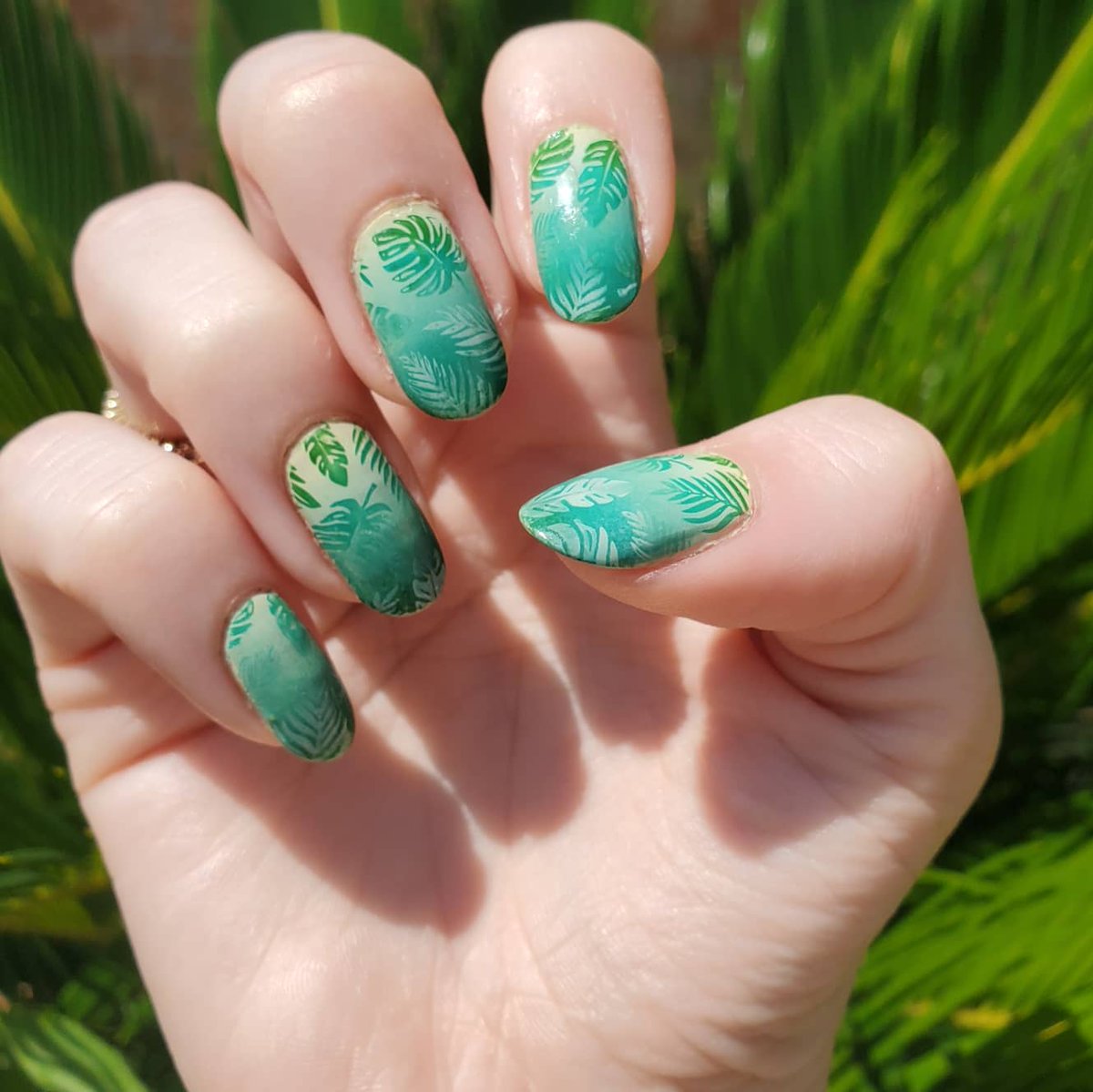 Sillyrabbittha1's tweet photo. Summer nail art! Gradient nails are by far one of my new favorite things.
#nailart #summernails #nailgradient https://t.co/vKyfZjZwqi
