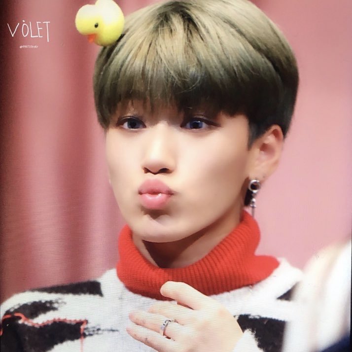 a thread of san but he grows up as you keep scrolling ♡︎