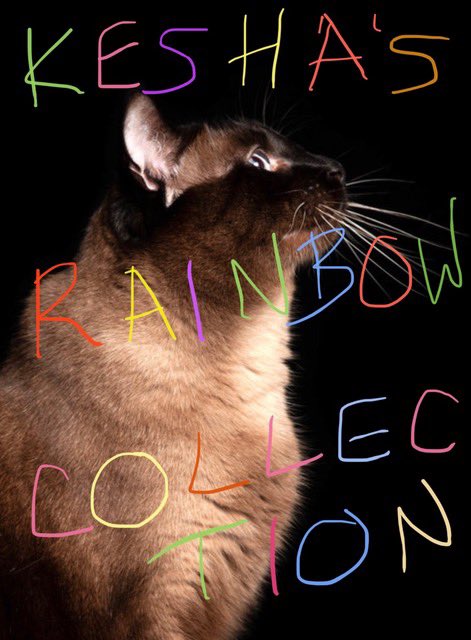 ebay dealer cat sis ebay dealer cat sis