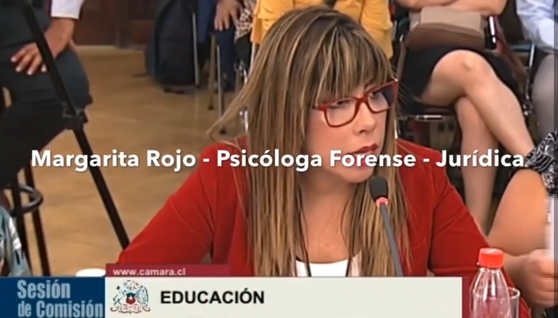 Actualidad Chile on Twitter "Margarita Rojo, experta Psicóloga Forense y Jurídica, alerta en el