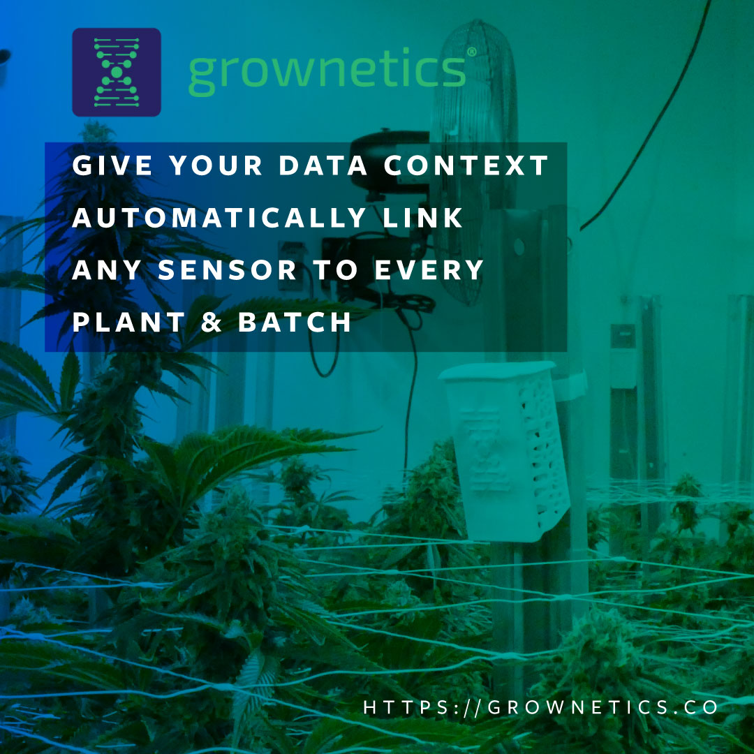 Grownetics's tweet photo. Save hours a week and grow beyond #monitoring and alerting. Grownetics gives your data context by automatically linking all #sensor data to every plant grown. Improve control system precision by 10-20x with our HVAC and #greenhouse integrations. #agtech #farming #urbanfarming https://t.co/gttgaXtHIa