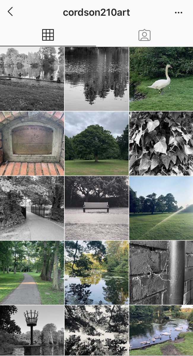 SBU_2020's tweet photo. Cordelia Clarkson is one of the featuring artists in the online exhibtion..

Want to see more of her work?

Check out her instagram account to see what she gets up to and don’t hestitate to message her with any questions and queries. https://t.co/Vl7wCyTY7x