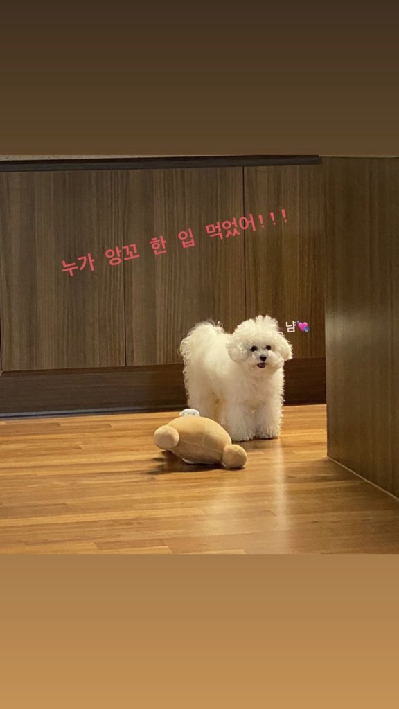 angkko pics (@angkkopics) on Twitter photo 