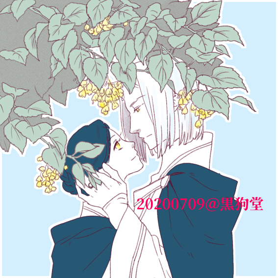 沙藤のダイエットは明日から 7月9日の誕生花はボダイジュ 花言葉は 夫婦愛 結婚 結ばれる愛 熱愛 ギリシア神話の神々の王ゼウスに仕えたフィレモンとバウキスという老夫婦がいました 二人は死によって離ればなれになるのを恐れ フィレモンはカシ