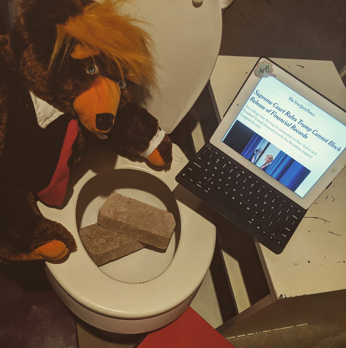 TrumpyHair's tweet photo. Trump's bowel movements are quite irregular in light of such active news this week. #TaxReturns #SCOTUS #SCOTUSrules #GhislaineMaxwellArrested #TrumpIsLosing #TrumpTaxes #TrumpIsALaughingStock #BunkerBoy #shittingbricks https://t.co/HyidP5weFx