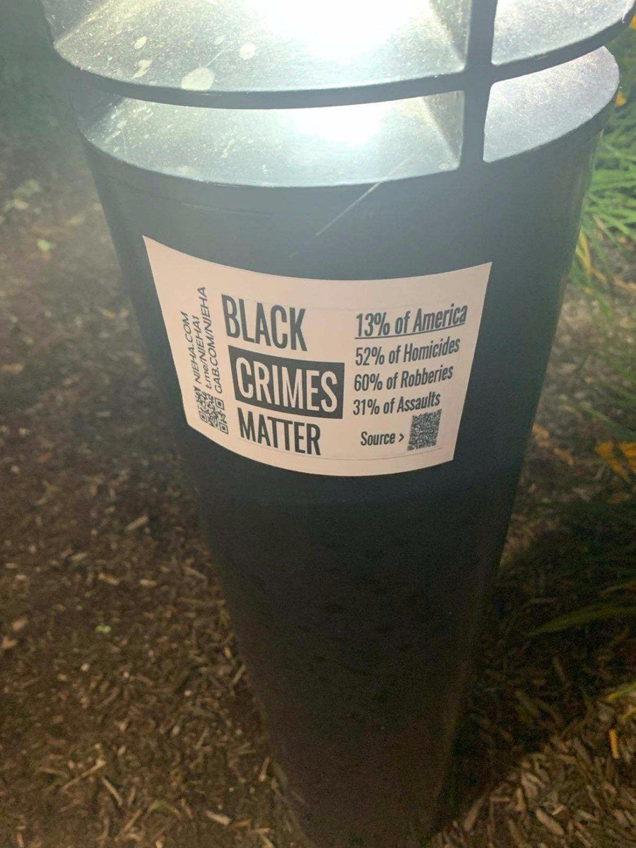 EuropeanAssoc's tweet photo. NJEHA activists placed promotional materials around:
--Waukesha, Wisconsin
--Elyria, Ohio
--Mishawaka, Indiana
--Du Bois, Pennsylvania
#BLMAreBlackLyingMarxists
#CommunismIsAJewishConstruct
#ZionistMediaIncitesInsurrection https://t.co/nXRpAar8AZ