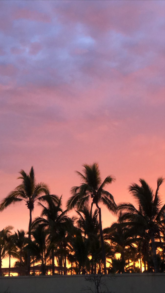 mfztarain's tweet photo. appreciative tweet para los distintos sunsets cn minutos de diferencia cada uno, del día de hoy en maza🤩🤍!!! https://t.co/s6goC11TEO