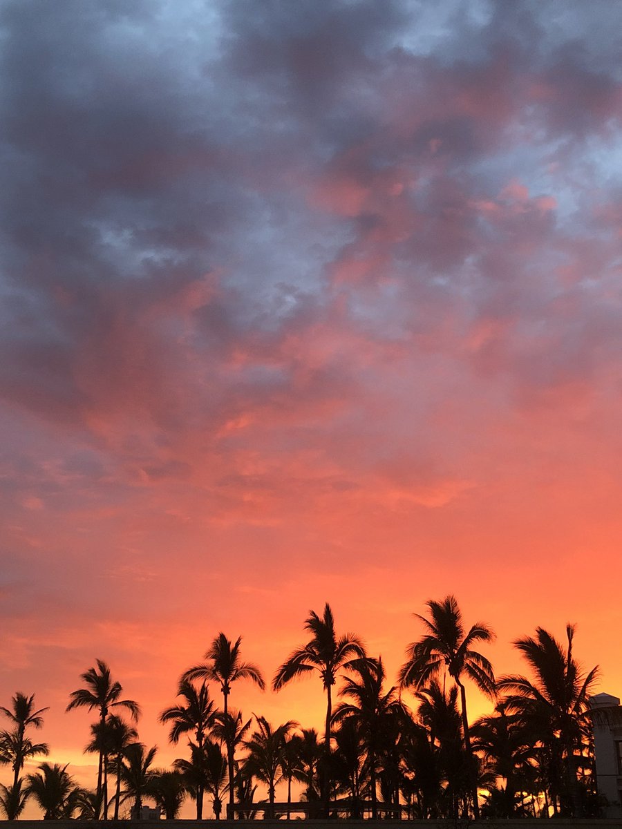 mfztarain's tweet photo. appreciative tweet para los distintos sunsets cn minutos de diferencia cada uno, del día de hoy en maza🤩🤍!!! https://t.co/s6goC11TEO