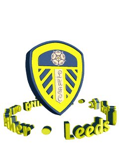 Eirtech's tweet photo. we are nearly there - it would be a disaster to fall now #LeedsUnited https://t.co/gBtE8Z2j1u
